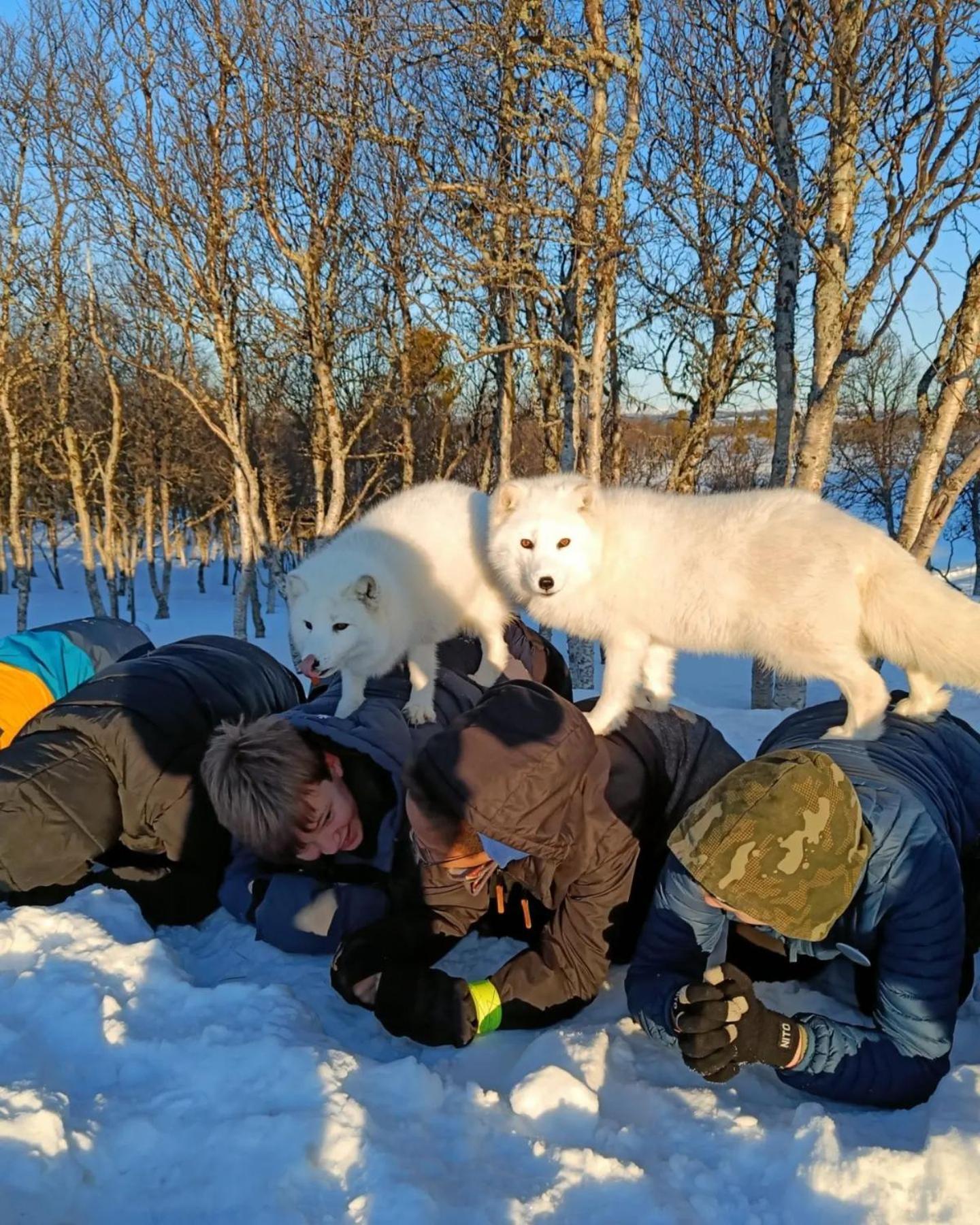Langedrag Naturpark Tunhovd Екстер'єр фото